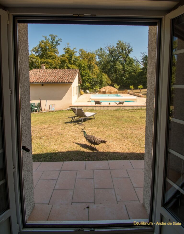chambre-vue-ext-piscine