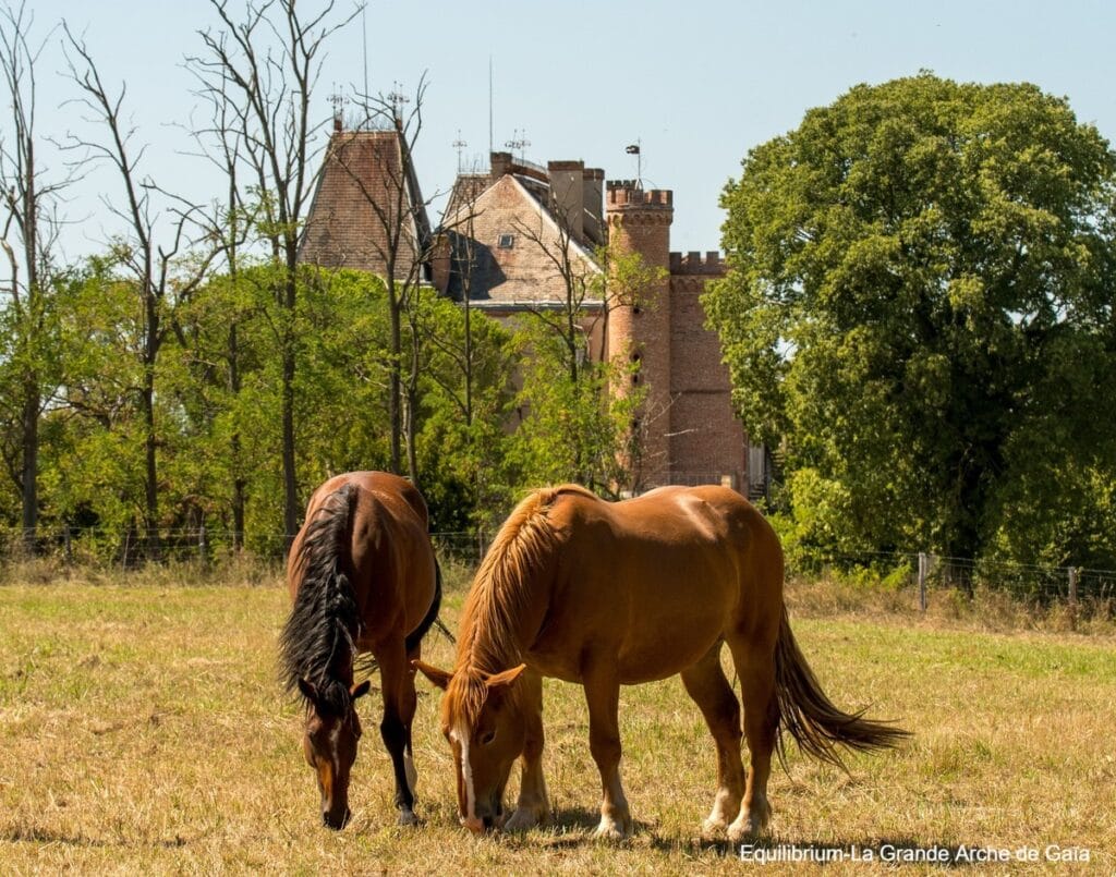 Just et Noisette, les chevaux de la Grande Arche de Gaïa
